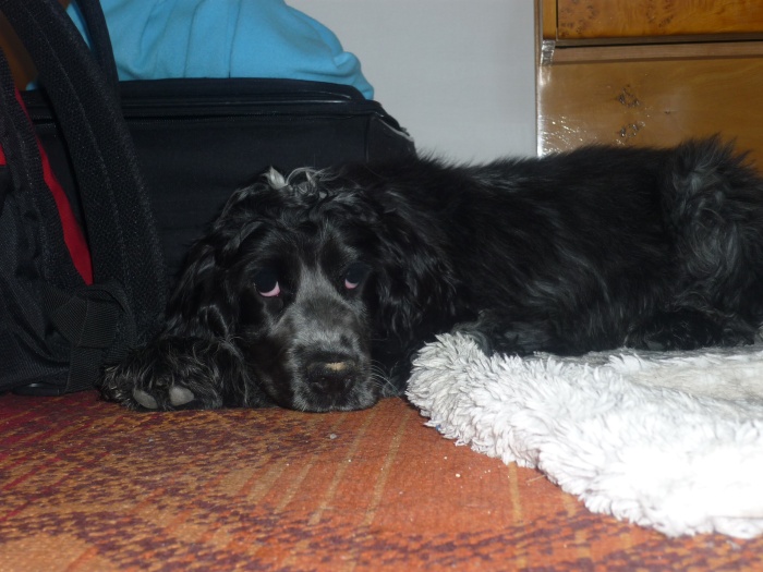 Berry 16.7.2010 (8).jpg